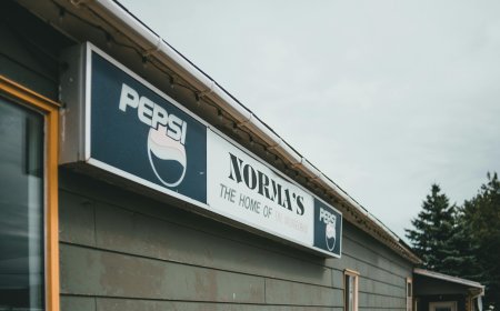 Film director Farah Khan visited Union Transport Minister Nitin Gadkari's residence, saw exterior walls painted with cow dung.