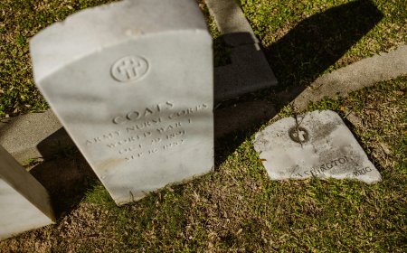 A young man from Punjab died in Russia due to a betrayal by an agent he was sent to war with.