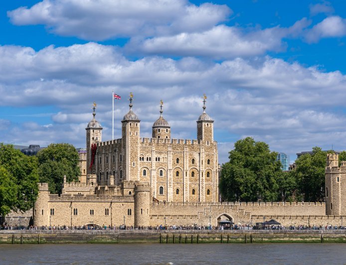 A 5 feet long dolphin carcass was found on the banks of the Ganga River in Kanpur, cause unknown.