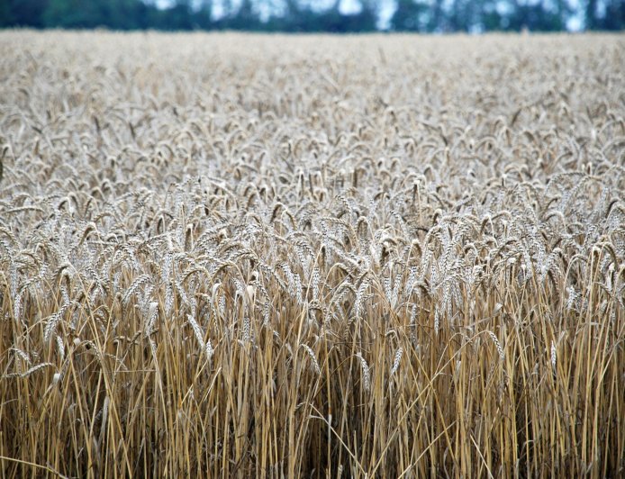 Explosions in Caracas, Venezuela, have resulted in several deaths, prompting an emergency declaration and US confirmation of an attack.